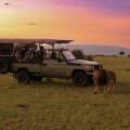 Luxury vs. Budget Safari: Which Is Right for You?